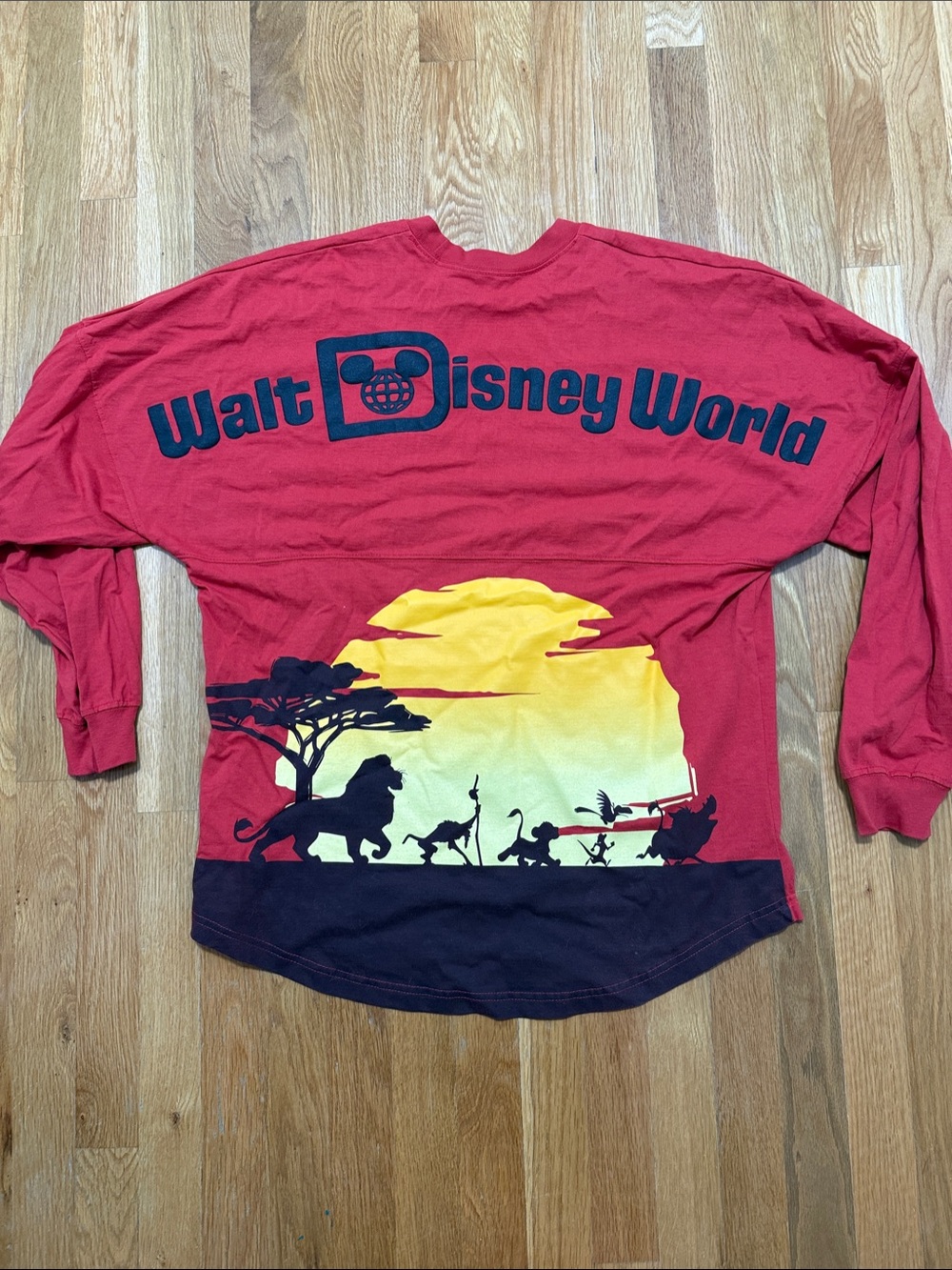 Disney Red Lion King Spirit Jersey